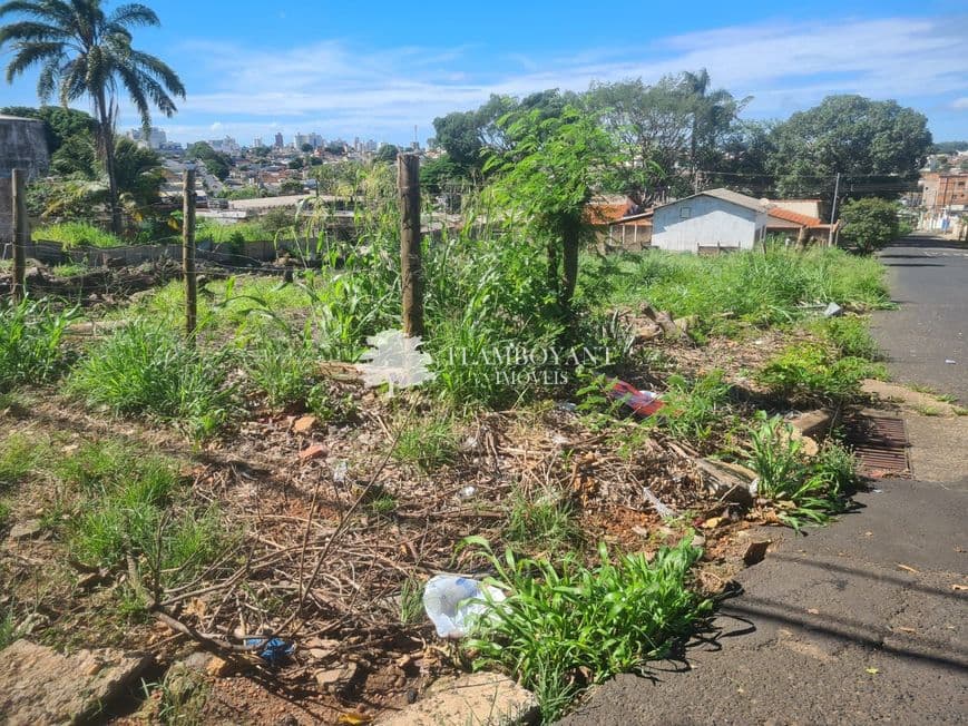 Terreno para vender no Pacaembu image 1
