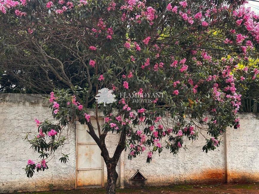 Terreno para vender no Cidade Jardim image 2