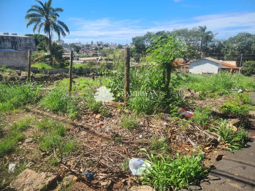 Terreno para vender no Pacaembu image 2