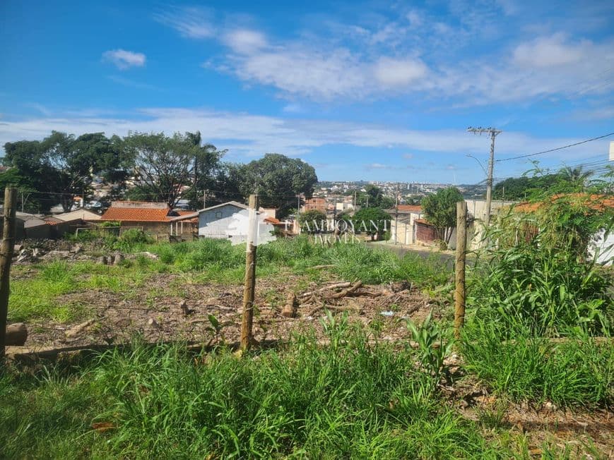 Terreno para vender no Pacaembu image 3