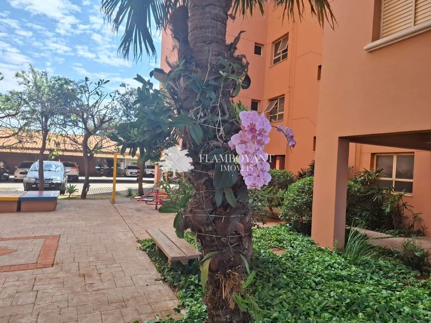 Apartamento para vender no Presidente Roosevelt image 2