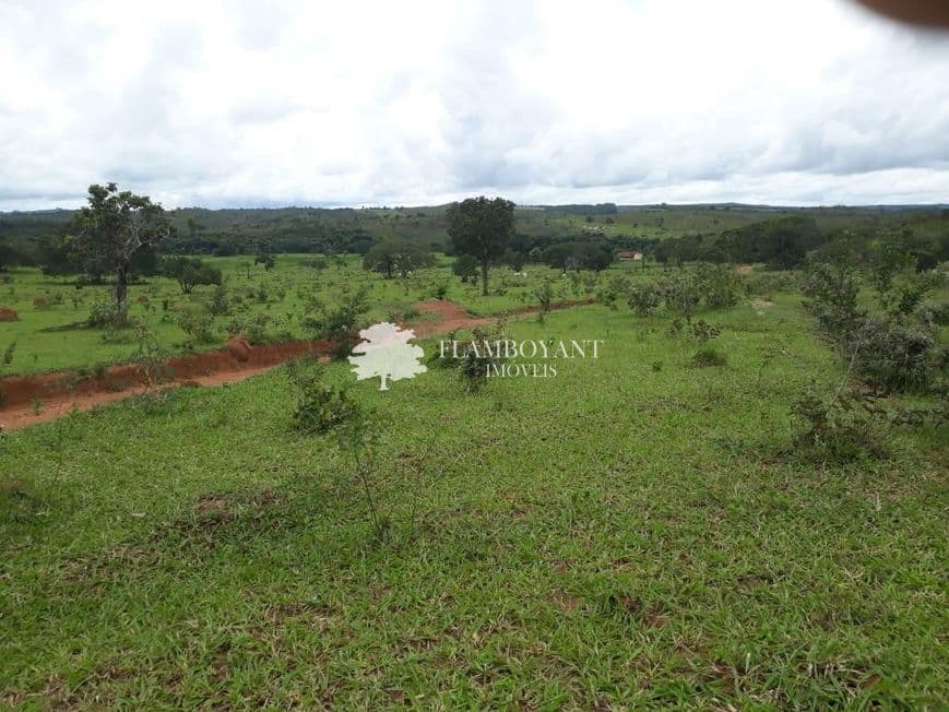 Fazenda para vender no Centro image 3