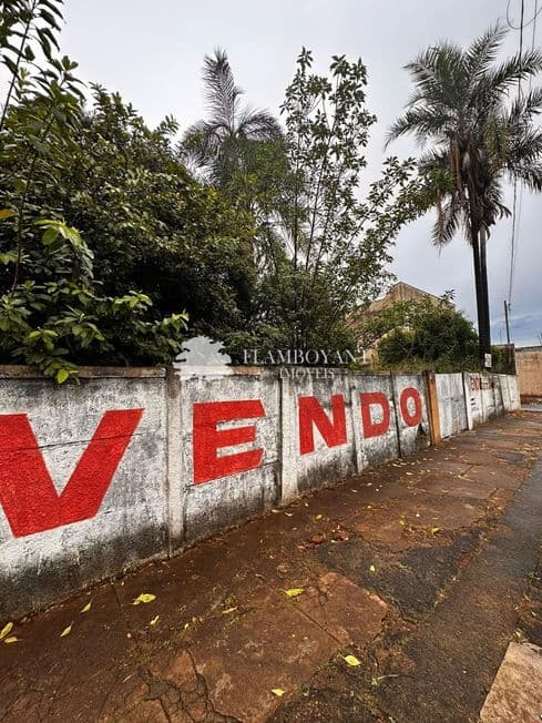 Terreno para vender no Martins image 2