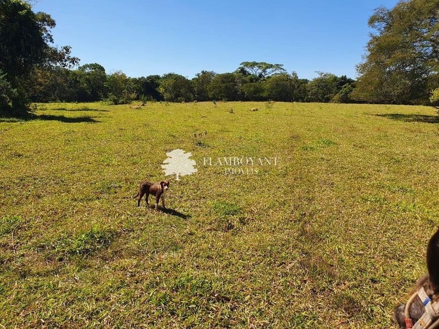 Fazenda para vender no Centro image 2
