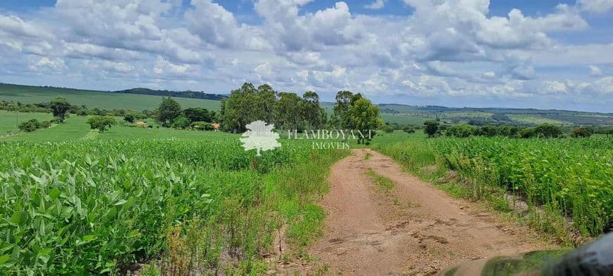 Fazenda para vender no Zona Rural image 1